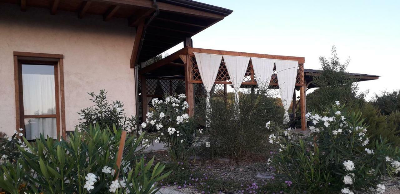 מלון אלגהרו The Straw House מראה חיצוני תמונה